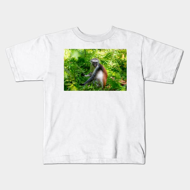 Red Colobus Monkey of Zanzibar Island, Tanzania Kids T-Shirt by SafariByMarisa